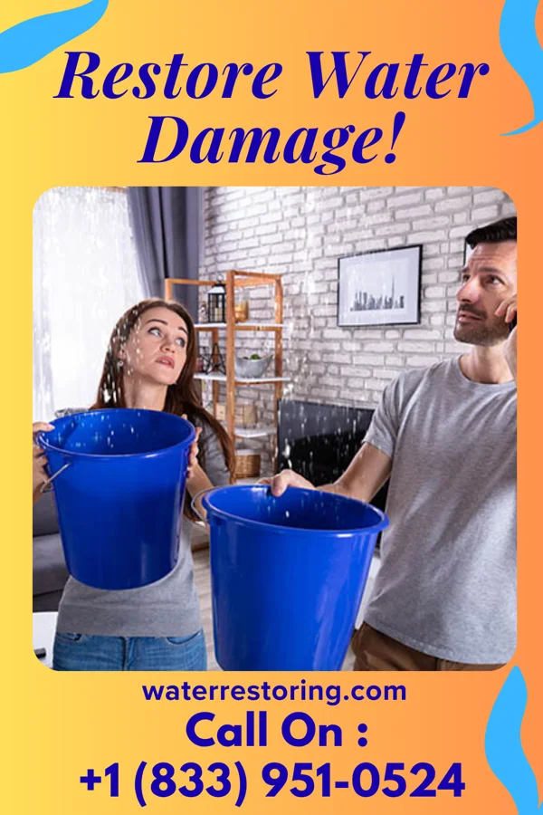 water restoration Vigilant Water Damage Experts North Topsail Beach