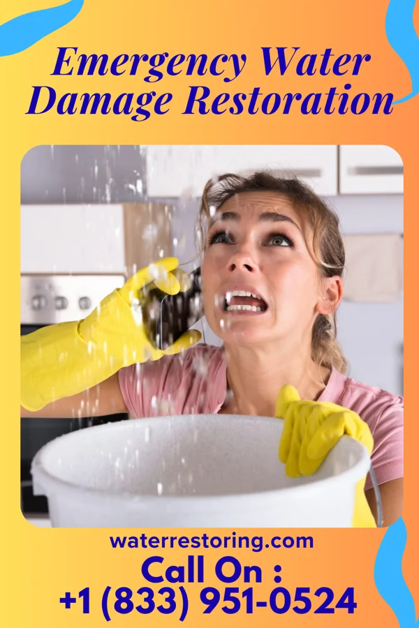Emergency Water Damage Restoration in North Topsail Beach, NC