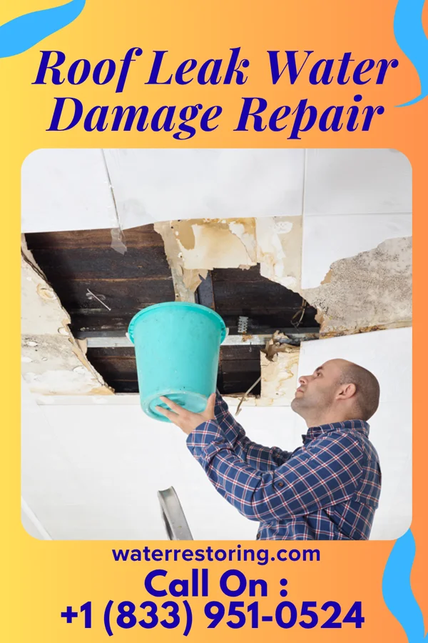 Roof Leak Water Damage Repair in North Topsail Beach, NC
