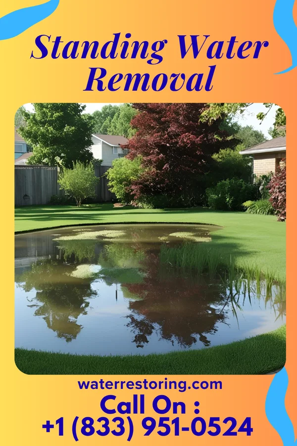 Standing Water Removal in North Topsail Beach, NC
